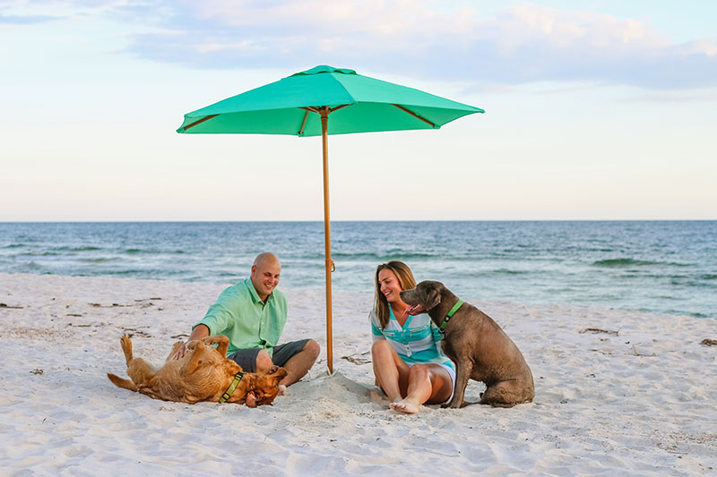 Fort Morgan Photographer Gulf Shores Beach Portraits Dog beach Gulf Shores Alabama Pictures